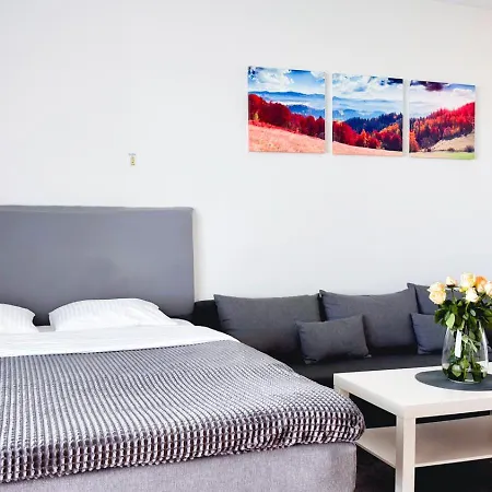 Center Brand New Studio, Parking